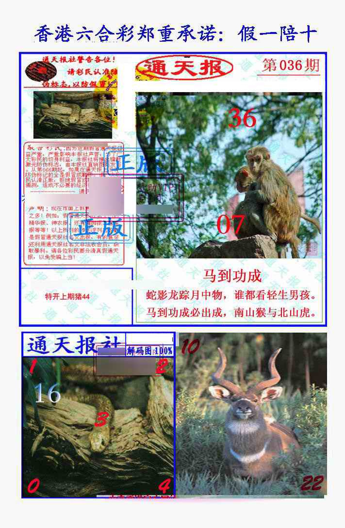 036期假一陪十通天报[图]